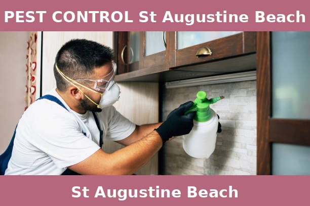 PEST CONTROL St Augustine Beach